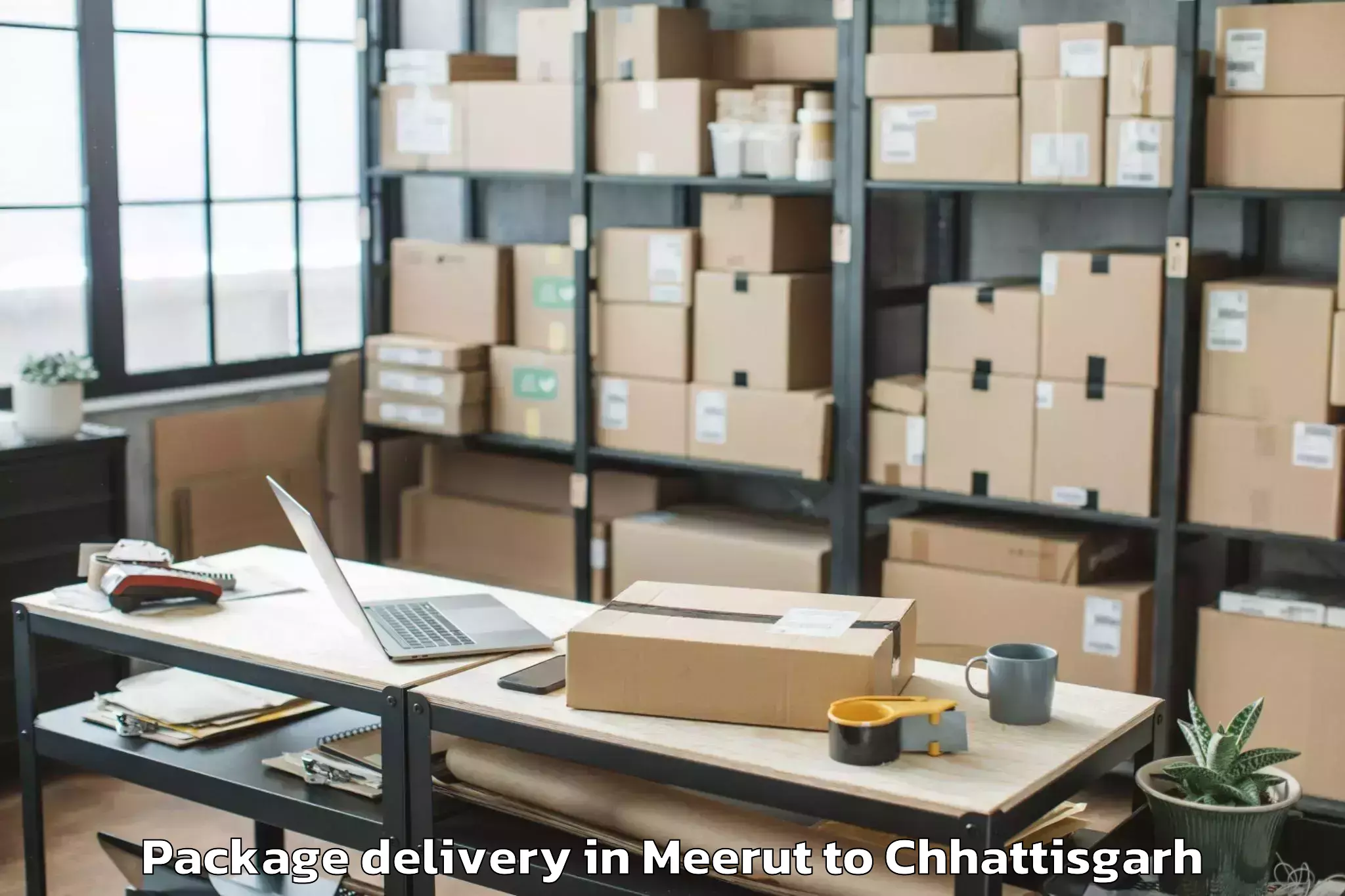 Trusted Meerut to Bhanupratappur Package Delivery